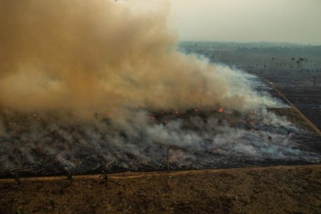 Brazilští vědci zaznamenali nadměrně vysoký počet požárů v Amazonii