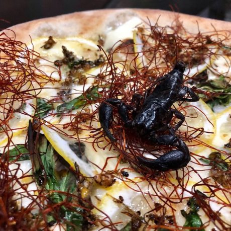 The Insect Pizza