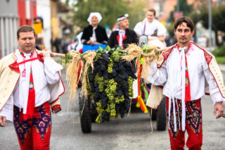 Pálavské vinobraní slaví sedmdesátiny, vyrazte na&nbsp;něj s&nbsp;Frekvencí 1