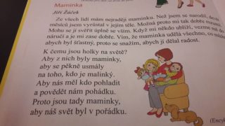Báseň z&nbsp;české čítanky zvedá lidi ze židlí! Jsou holky na&nbsp;světě, aby byly maminkami? ANKETA