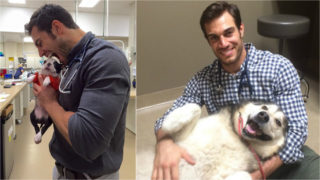 Ženy, držte se! Tohohle sexy veterináře budete domácím mazlíčkům závidět