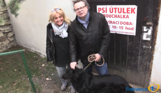 11.&nbsp;díl pořadu MAZLÍČCI Frekvence 1: Jak postupovat, když musíme psa umístit do útulku?