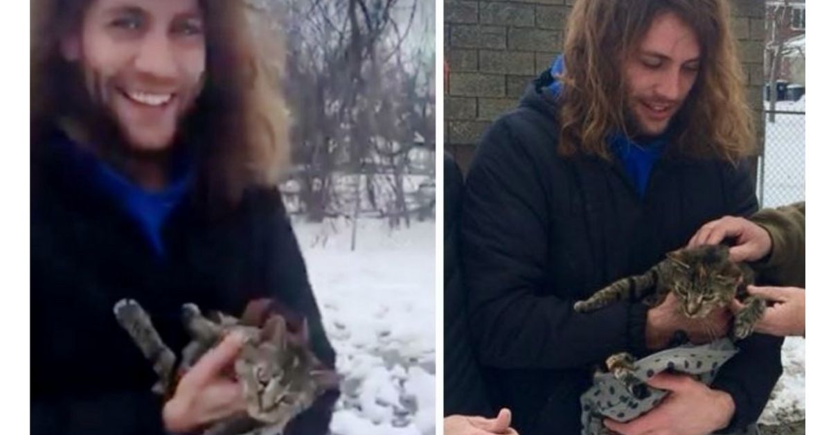 VIDEO: Kočka uvízla na stromě na 9 dní! Nakonec ji zachránili