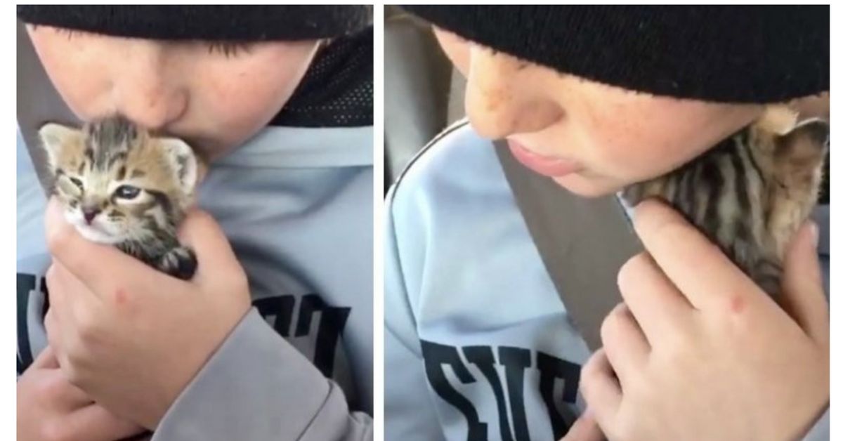 Kotě nepřestávalo brečet, uklidnil ho až desetiletý chlapec. VIDEO