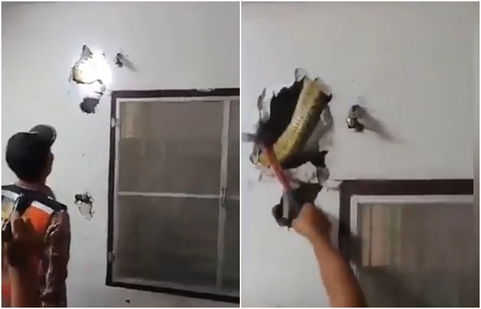 Muž slyšel za stěnou podivné zvuky. To, co tam na něj čekalo, doma najít nechcete! VIDEO