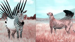 GALERIE: Umělec vytváří ve photoshopu fantastická zvířata