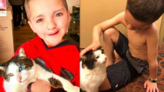 GALERIE: Je to osud? Chlapec a&nbsp;kočka mají úplně stejný handicap!