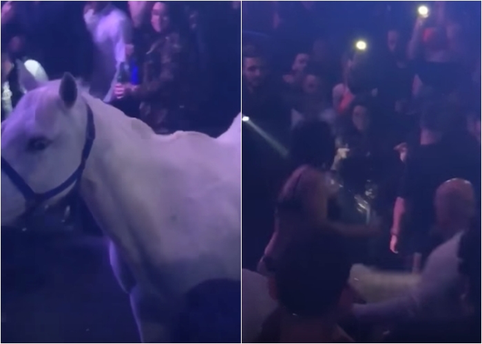 VIDEO: Dívka přijela na&nbsp;diskotéku na&nbsp;koni! Klub museli zavřít