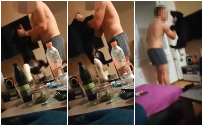 VIDEO: Mladík brutálně týral malé štěně! Lidé vzali spravedlnost do svých rukou