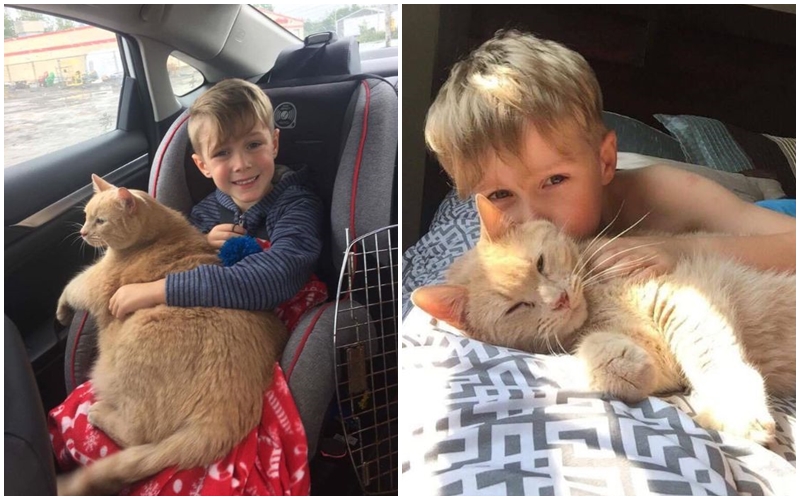 Starého a&nbsp;tlustého kocoura nikdo nechtěl! Pak přišel malý chlapeček