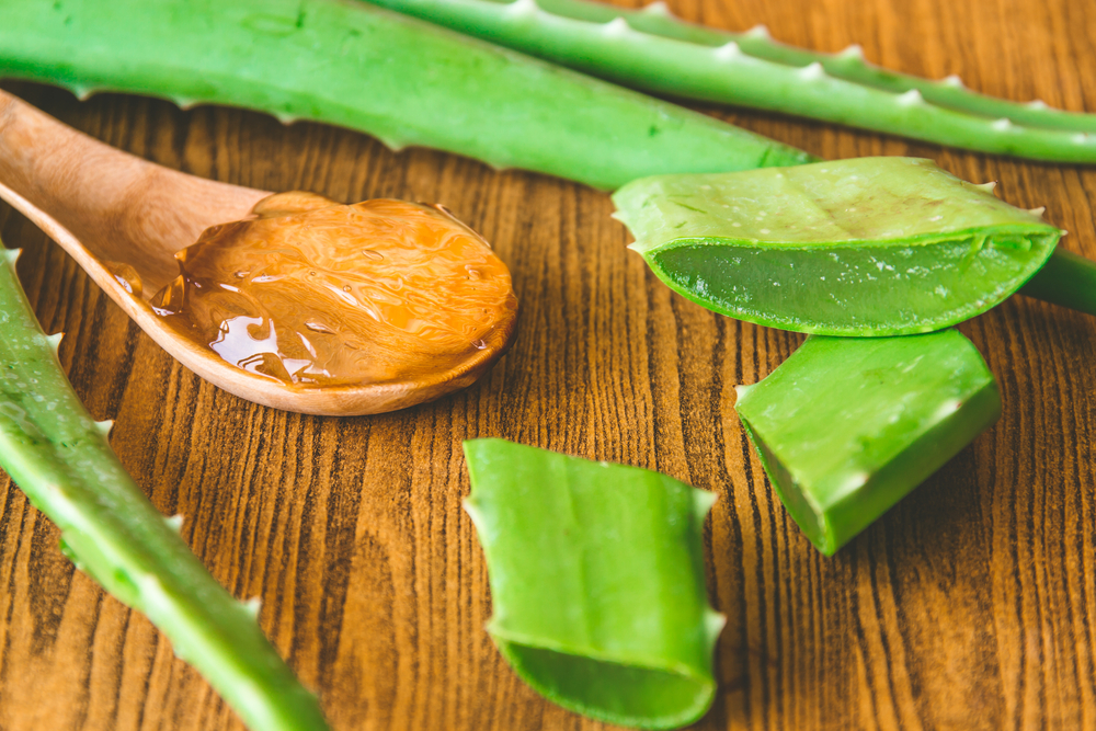 Vyzkoušejte aloe vera: Zbaví vás akné i pálení žáhy