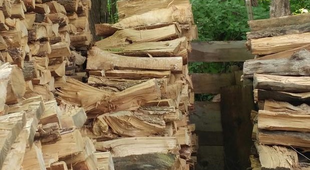 FOTO: Dokážete na této fotografii najít kočku? Dobře se schovala!