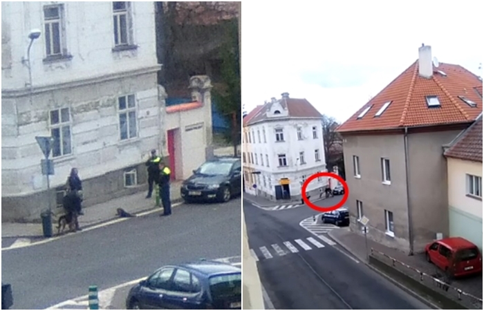 VIDEO: Další případ brutálního týrání! Muž na&nbsp;Žatecku kopal do svého psa