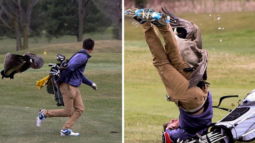 FOTO: Celý svět se směje tomuto golfistovi! Čím si to zasloužil?