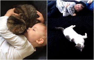 Roztomilost roku! Tahle VIDEA koček a&nbsp;dětí si zamilujete