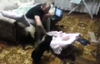 VIDEO: To musíte vidět! Kočička brání miminko před fackou od táty
