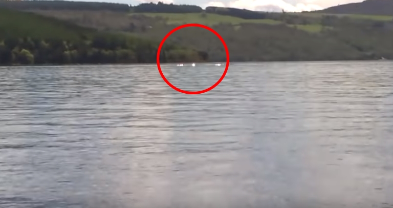 VIDEO: Konečně důkaz o&nbsp;Lochnesské příšeře? Babička s&nbsp;vnučkou ji natočily