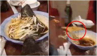 VIDEO: Zombíci jsou tady? Uvařená ryba vyskočila z&nbsp;talíře!