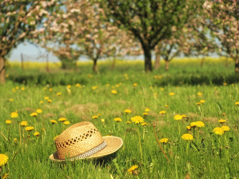 Duben byl nejteplejší od roku 1961. Deště bylo ale málo