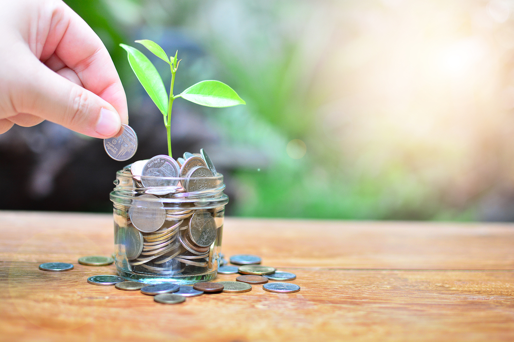 Jaká jsou základní pravidla úspěšného investora?
