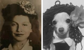 GALERIE: Dívka nahradila rodinné fotky snímky svého psa! Matka si toho nevšimla 2 týdny