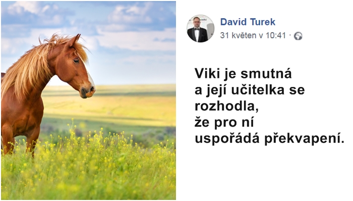 Malá Viki (8) bojuje s rakovinou a přeje si pohledy s koněm. Pomůžete jí?