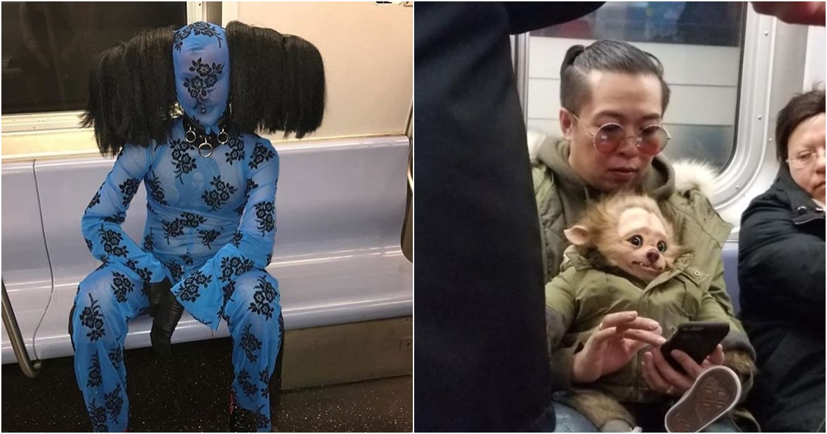 GALERIE: Ananas na&nbsp;vodítku a&nbsp;vlkodlaci. To nejšílenější z&nbsp;MHD!