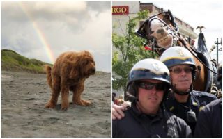 To nejlepší načasování! Tahle GALERIE vás zaručeně rozesměje