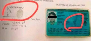 FOTO: Muž se podepisuje kresbou kočičky! Neobvyklá signatura baví internet