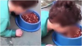 Nechutné VIDEO! Matka nutila postiženého syna jíst granule pro&nbsp;psa