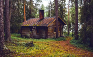 Otestujte vaši pozornost! Najdete na&nbsp;obrázku medvěda?