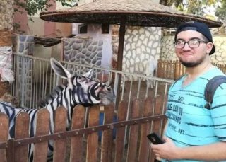 FOTO: Koumák roku. V&nbsp;ZOO neměli zebru, přemalovali proto osla