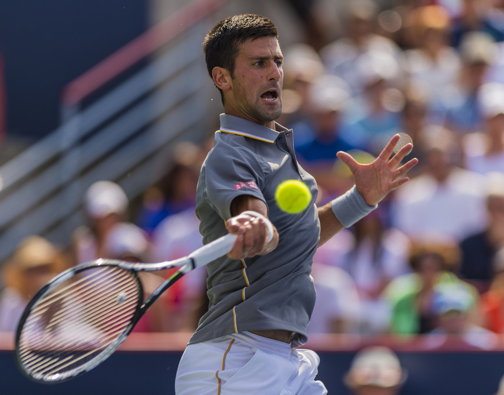 Tenista Djokovič počtvrté ovládl Wimbledon