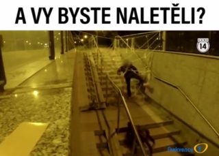 VIRÁLY TÝDNE: Proč mají kočky devět životů?