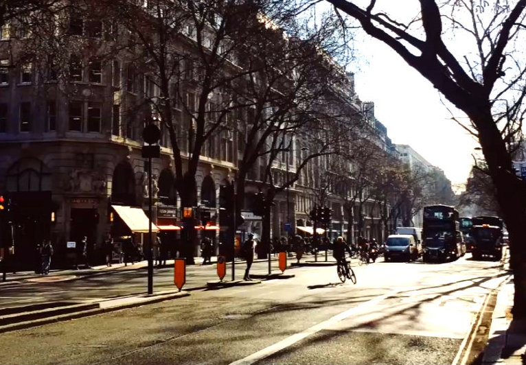Je tam, nebo ne? Zkuste najít na&nbsp;obrázku schovaného psa