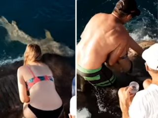 VIDEO: Žena krmila žraloky holýma rukama. Hádejte, jak to dopadlo