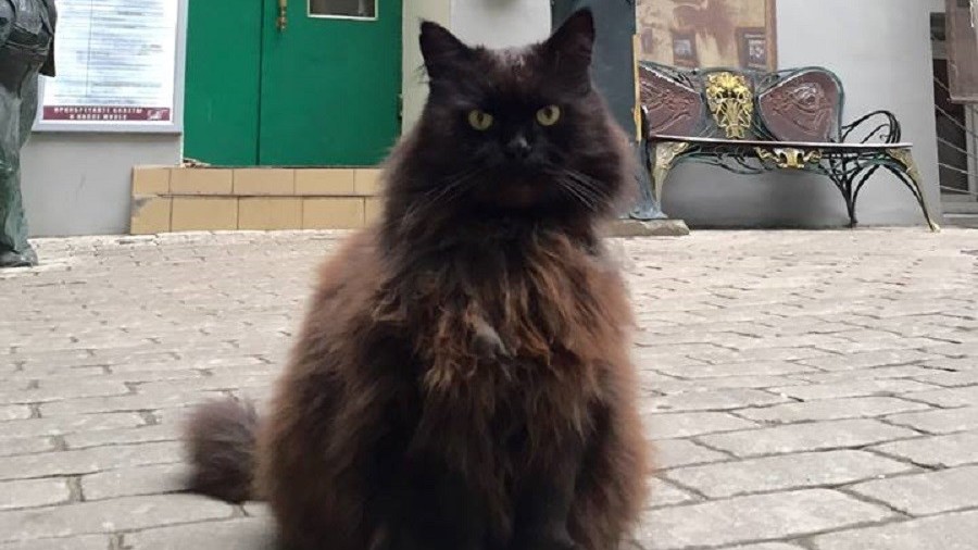 Z moskevského muzea žena ukradla slavného kocoura. Tvrdila, že strádal