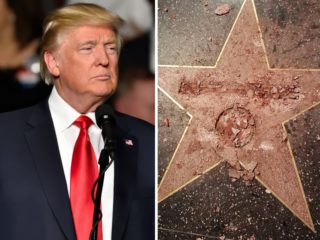 Bude Trumpova hvězda z&nbsp;hollywoodského chodníku slávy odstraněna?