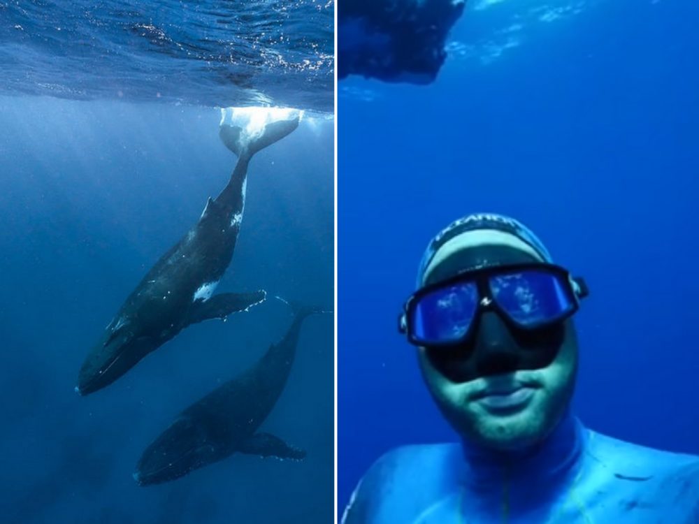 FOTO: Nejlepší selfie roku? Potápěč se vyfotil s velrybou