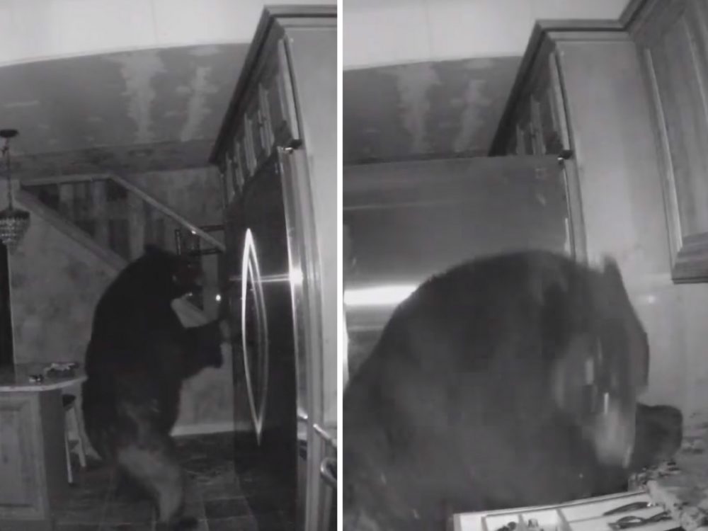 VIDEO: Seniorku v&nbsp;domě překvapil nevítaný host. Takového byste netipovali