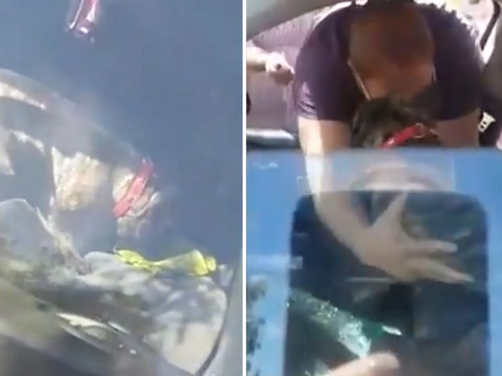 VIDEO: Lidé vysvobodili psa z&nbsp;rozpáleného auta. Kvůli horku zvracel a&nbsp;těžce dýchal!