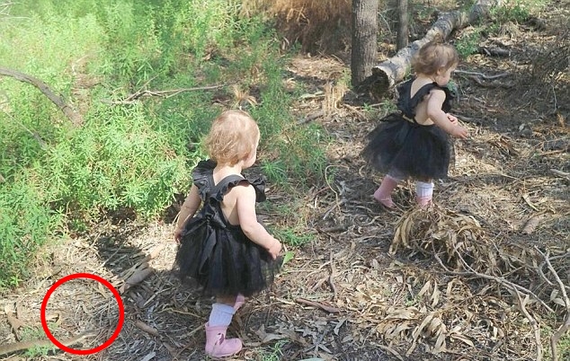 FOTO: Maminka vyrazila s dětmi na procházku. Na fotce zachytila děsivého predátora!