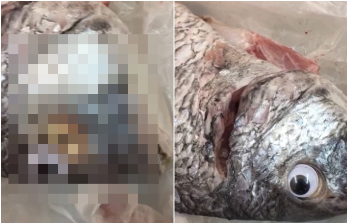 FOTO: Je to možné? Prodavač lepil umělé oči na rybu, aby vypadala čerstvější!