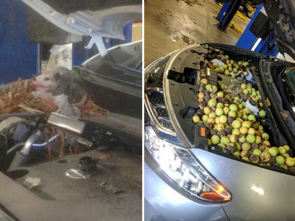 Muž nemohl nastartovat své auto. Důvod mechaniky zarazil
