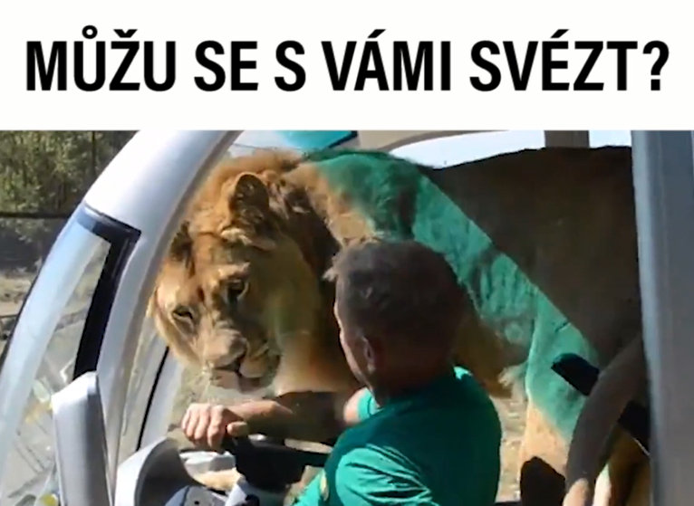 VIRÁLY TÝDNE: Jak se co nejdéle udržet na&nbsp;býkovi? A&nbsp;opravdu si chcete pořídit psa?