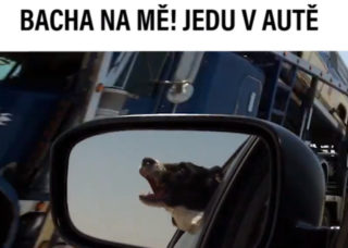 VIRÁLY TÝDNE: Bojíte se okurky? A&nbsp;jak se správně vybavit k&nbsp;šicímu stroji?