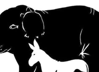 Máte silnou představivost? Otestujte si ji v&nbsp;této hádance