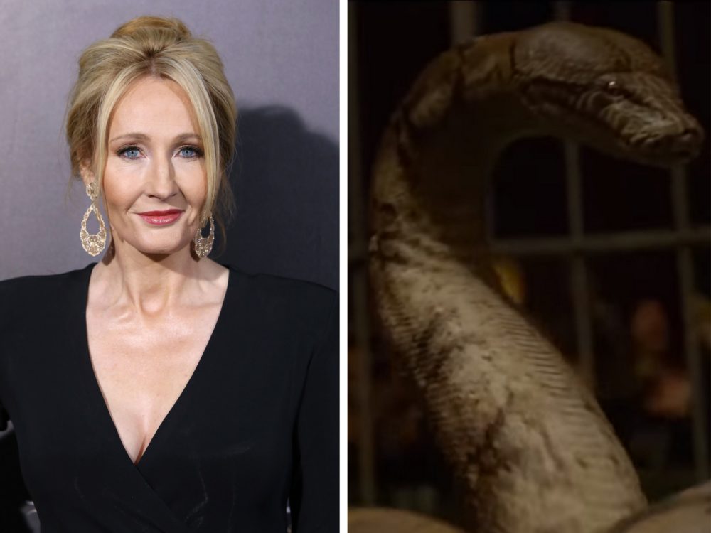 Rowlingová odhalila tajemství po&nbsp;20 letech! Co před fanoušky skrývala?