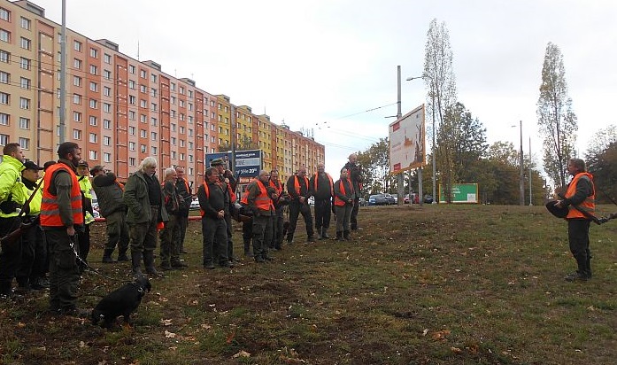 Na sídlišti v Ústí nad Labem myslivci zastřelili pět divočáků