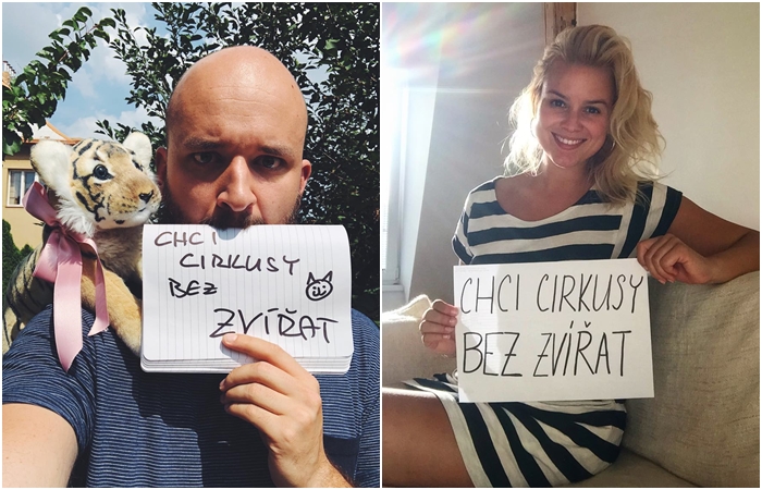 Chceme cirkusy bez zvířat: Petici proti chovu zvířat v cirkusu podepsalo 14 tisíc lidí